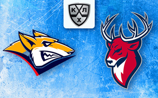 Прогноз Металлург — Торпедо