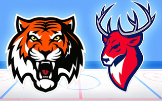 Амур — Торпедо