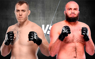 Прогноз Спивак — Газиев